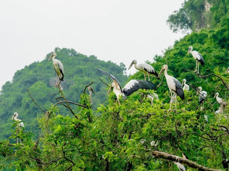 thung-nham-ninh-binh