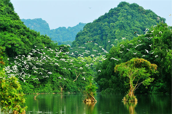 du-lich-ninh-binh